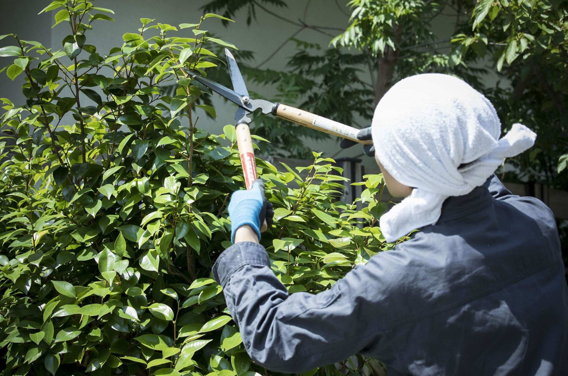熟練の職人が丁寧かつ迅速に作業を開始